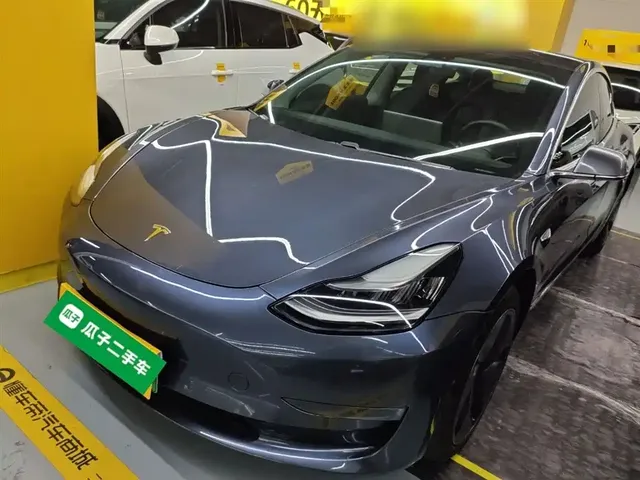 Tesla Model 3 (Import) 2019 Long Range RWD Version