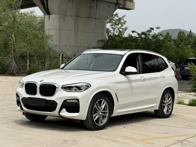 BMW X3 2018 xDrive25i M Sport Package China V