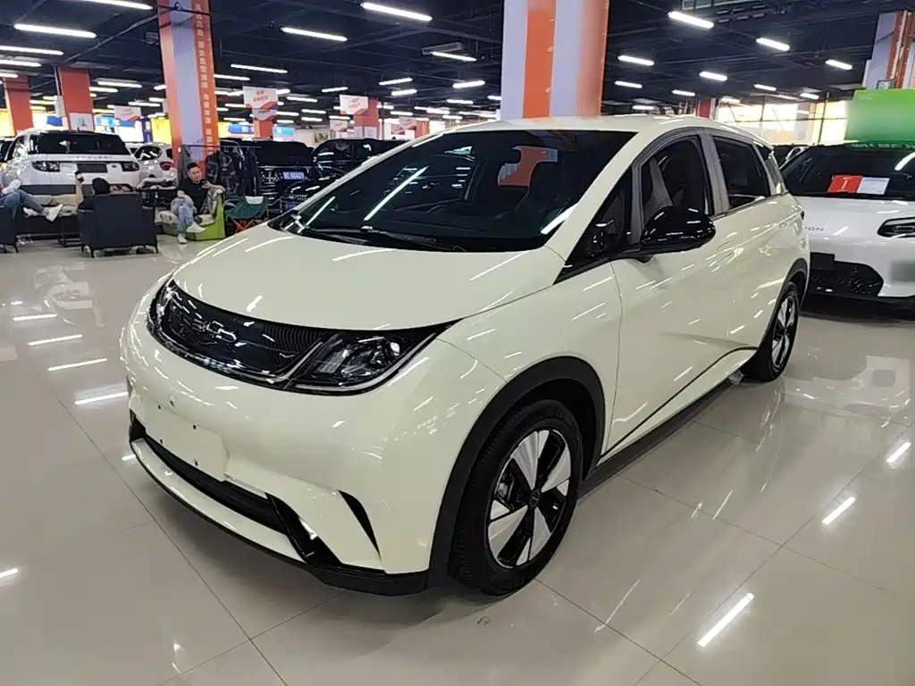 BYD Dolphin 2023 420km Freedom Edition
