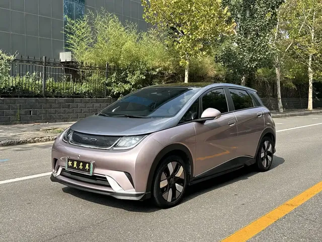 BYD Dolphin 2021 401km Knight Edition