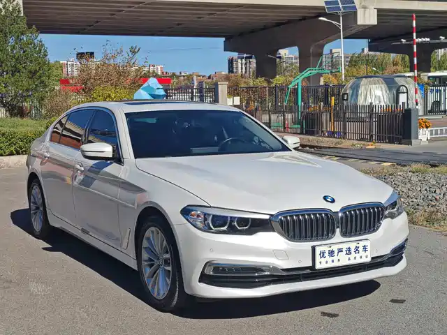 BMW 5 Series 2019 530Li Leading Luxury Package