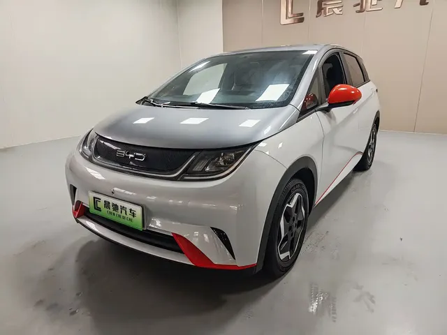 BYD Dolphin 2021 405km Freedom Edition
