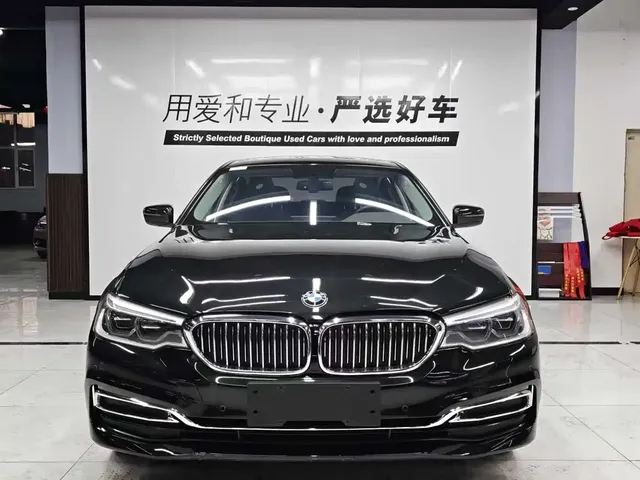 BMW 5 Series 2020 530Li xDrive Luxury Package