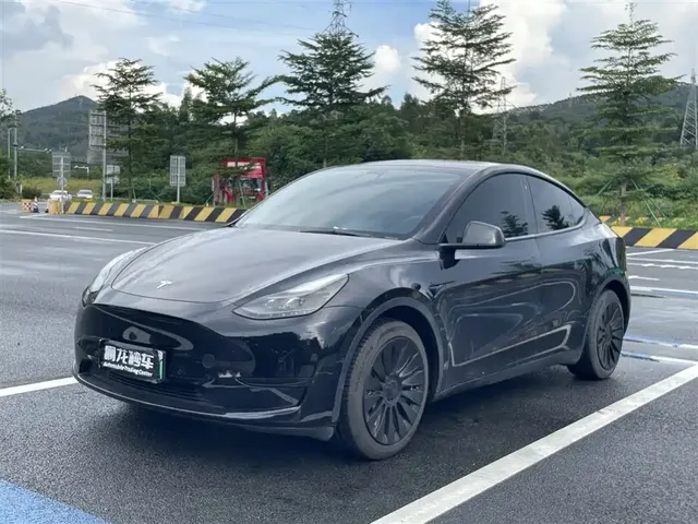 Tesla Model Y 2022 Rear-Wheel Drive Version