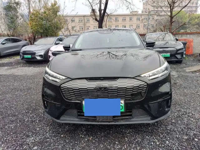 Ford Mustang Mach-E 2021 Leap World RWD (Standard Range)