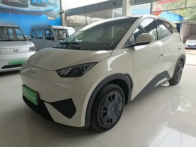 BYD Seagull 2025 Smart Drive Edition 305km Vitality Version