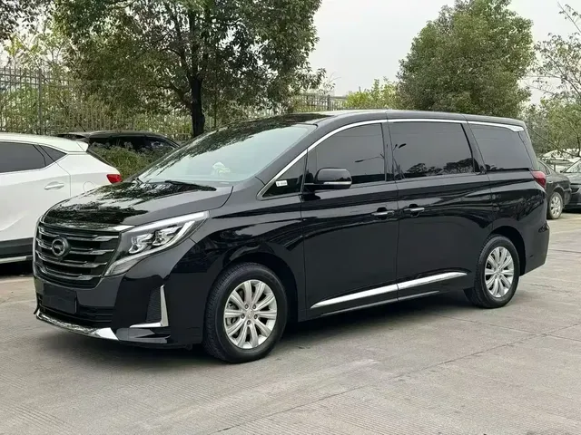 GAC Trumpchi M8 2020 Pilot 390T Premium Edition