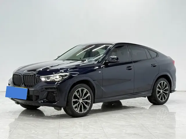 BMW X6 2023 xDrive30i M Sport Package