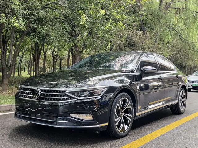Volkswagen Magotan 2020 330TSI DSG Luxury