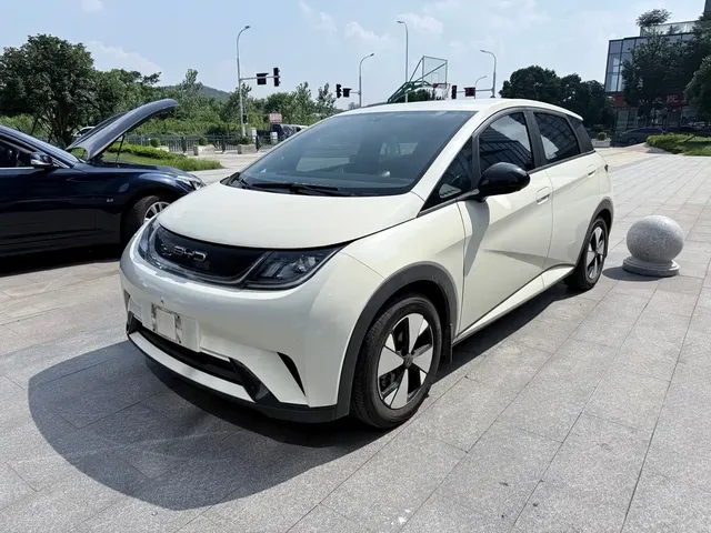 BYD Dolphin 2023 420km Freedom Edition