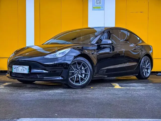 Tesla Model 3 2022 Model Rear-Wheel Drive Version
