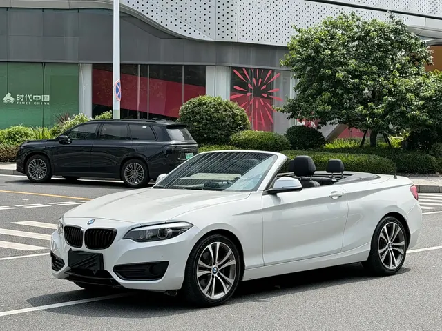 BMW 2 Series (Import) 2019 225i Convertible Coupe Sport Design Package