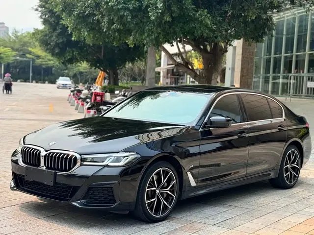 BMW 5 Series 2021 530Li Premium M Sport Package