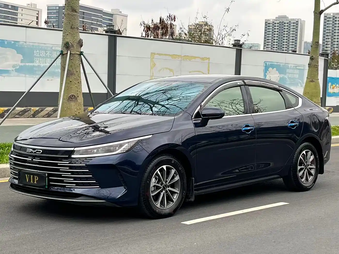 BYD Destroyer 05 2024 Glory Edition DM-i 55KM Luxury