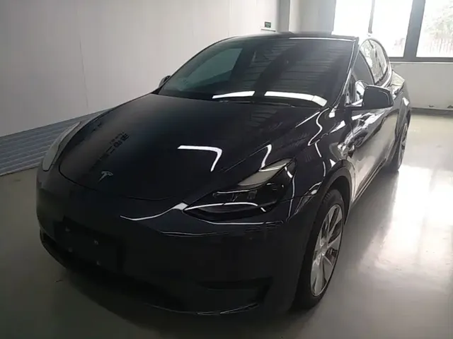 Tesla Model Y 2022 Rear-Wheel Drive Version