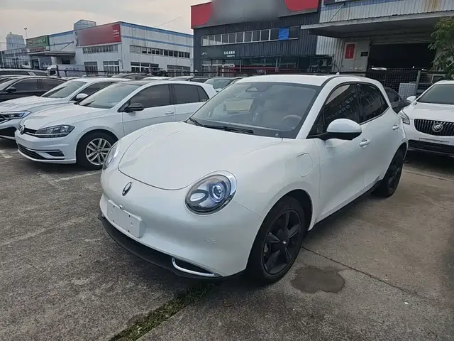 Ora Good Cat 2024 401km Luxury