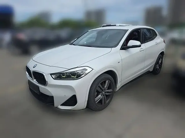 BMW X2 2020 sDrive25i Leading M Off-Road Package