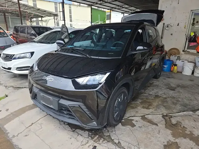 BYD Seagull 2024 Glory Edition 305km Freedom Edition