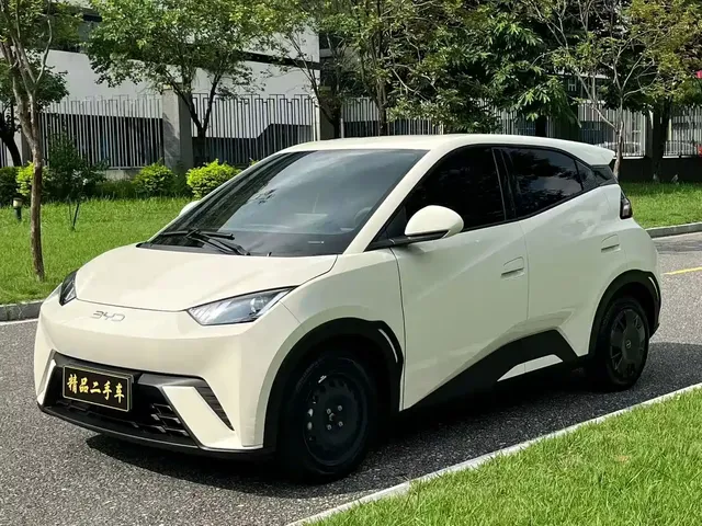 BYD Seagull 2024 Glory Edition 305km Vitality Edition