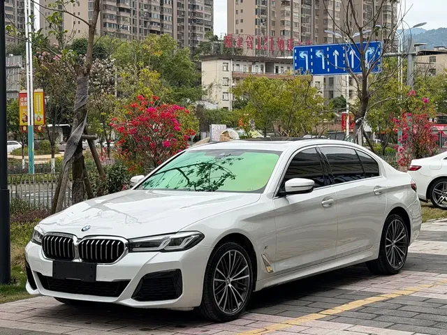 BMW 5 Series 2021 530Li Leading M Sport Package