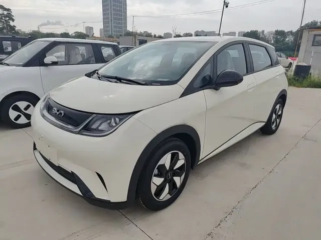 BYD Dolphin 2025 420km Freedom Edition