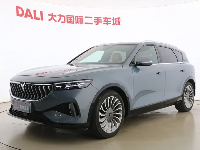 Voyah Auto VOYAH FREE 2021 AWD Standard Range Extender Exclusive Luxury Package