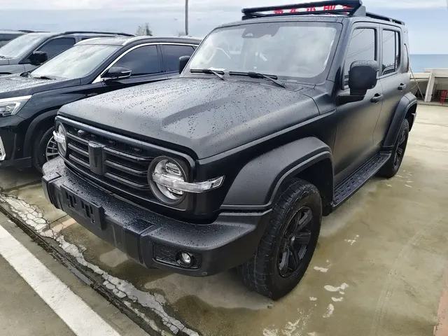 Tank 300 2021 Off-road Version 2.0T Conqueror