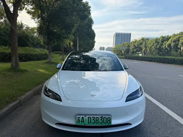 Tesla Model 3 2025 Model Rear-Wheel Drive Edition