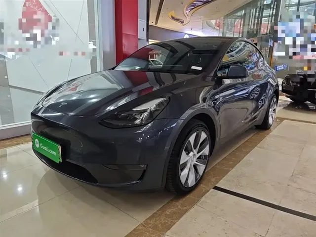 Tesla Model Y 2021 Standard Range Rear-Wheel Drive