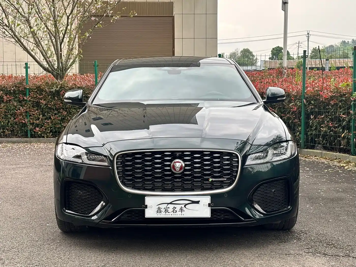 Jaguar XFL 2023 Model XFL 2.0T P250 2WD Elite Sport Edition