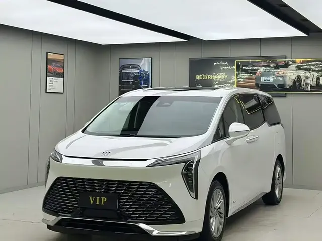 Buick Century 2023 2.0T 7-Seater World Edition