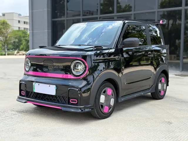 Geely Galaxy Panda 2025 Model Year 210km Panda Kart