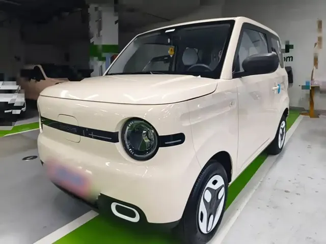 Geely Galaxy Panda 2025 Panda mini 210km Vitality Bear