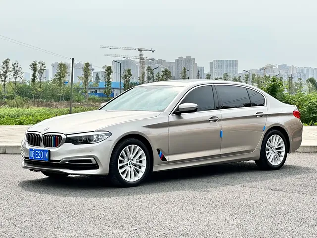 BMW 5 Series 2019 530Li Leading Luxury Package