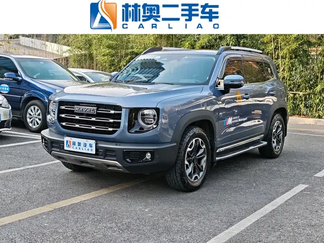 Haval Big Dog 2022 2.0T DCT AWD Howling Celestial Dog Edition