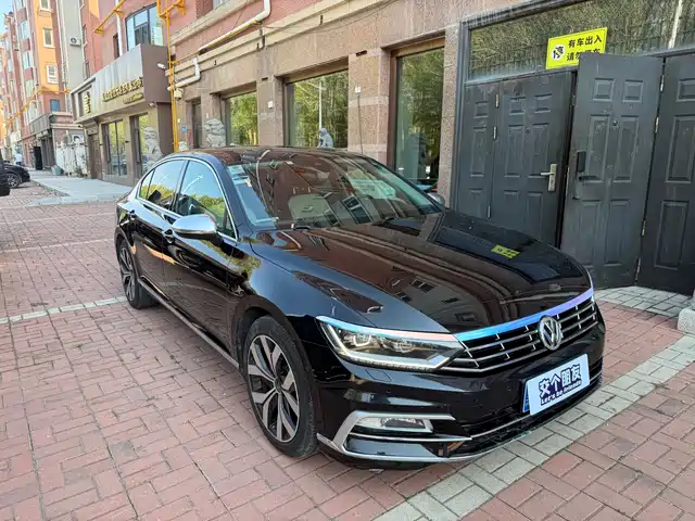 Volkswagen Magotan 2019 380TSI DSG Premium Class China VI