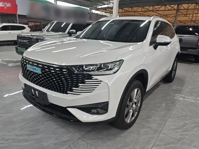 Haval H6 New Energy 2023 DHT-PHEV 55KM Joy Ride Edition