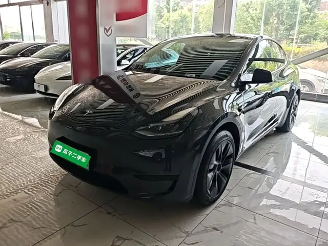 Tesla Model Y 2024 Rear-Wheel Drive Version