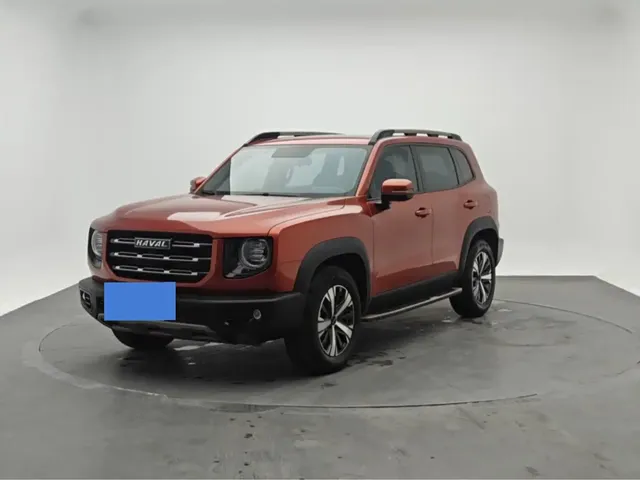 Haval Big Dog 2021 1.5T DCT 2WD Labrador Edition