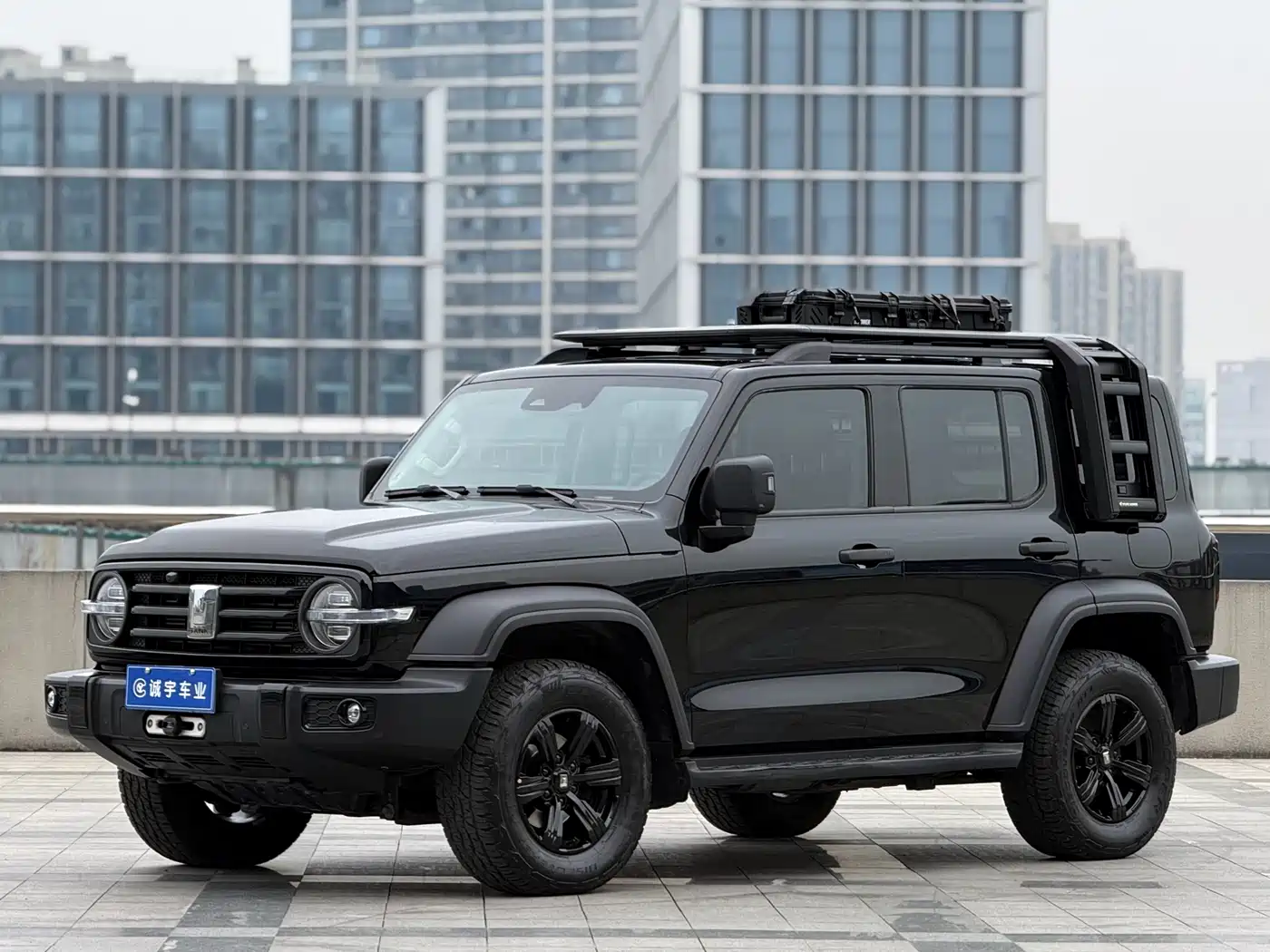 Tank 300 2021 Off-road Version 2.0T Conqueror