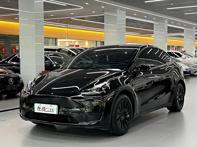 Tesla Model Y 2022 Rear-Wheel Drive Version