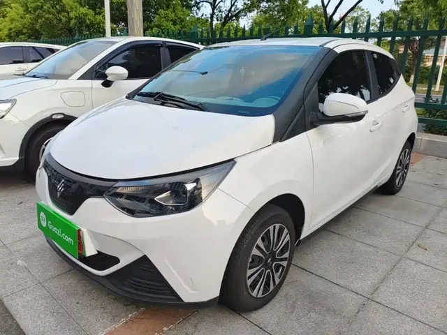 JMCG New Energy Little Kirin 2024 201km Comfort Model