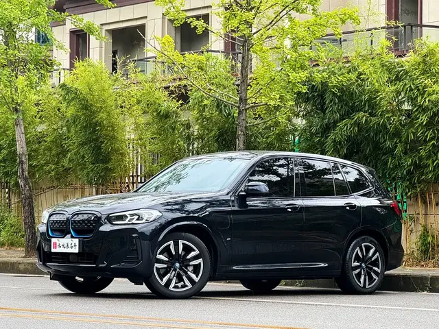 BMW iX3 2023 Leading Type