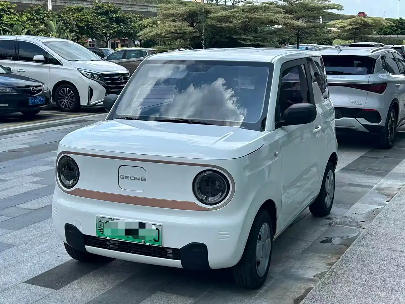 Geely Galaxy Panda 2023 Panda Mini 200km Endurance Bear