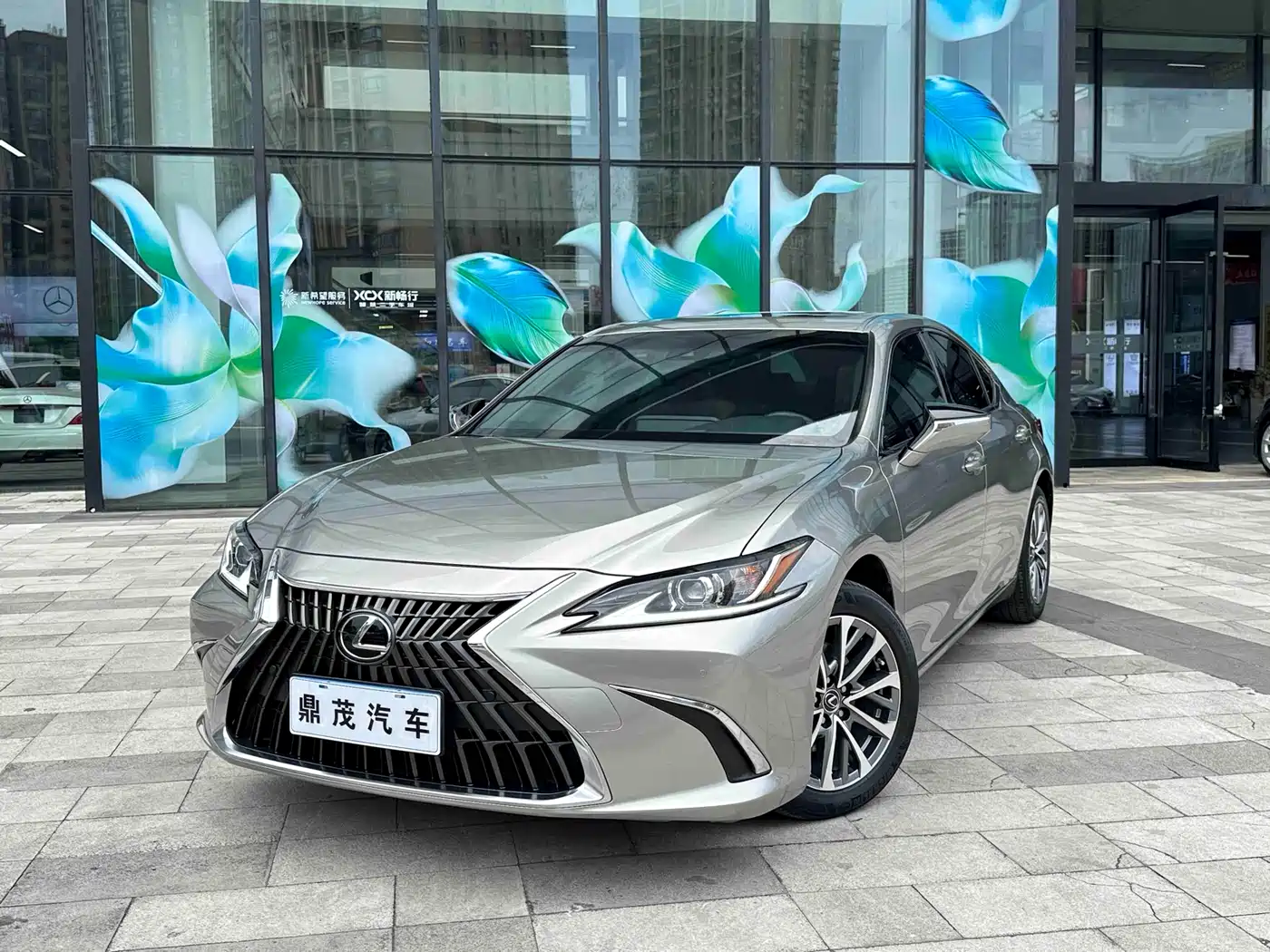 Lexus ES 2021 260 Excellence Edition