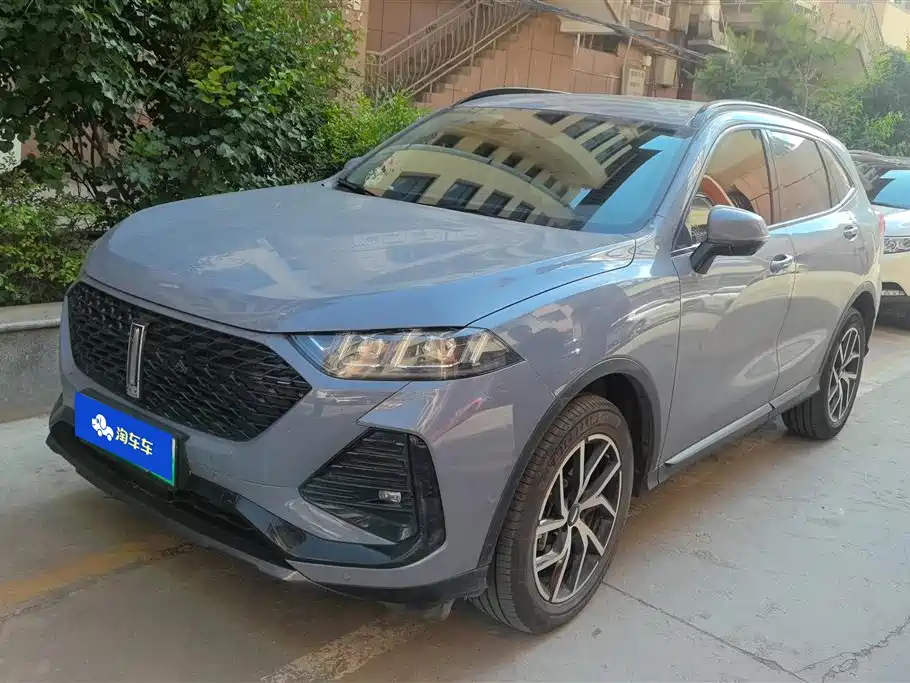 WEY Latte DHT-PHEV 2022 1.5T 2WD Extra Large Cup
