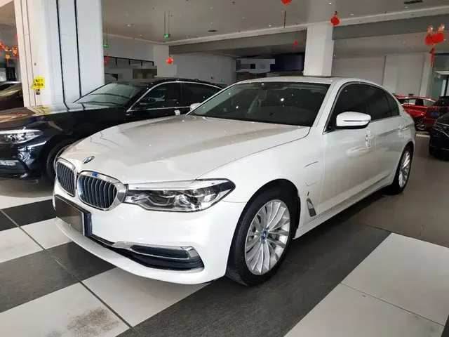 BMW 5 Series New Energy 2019 Facelift 530Le Luxury Package