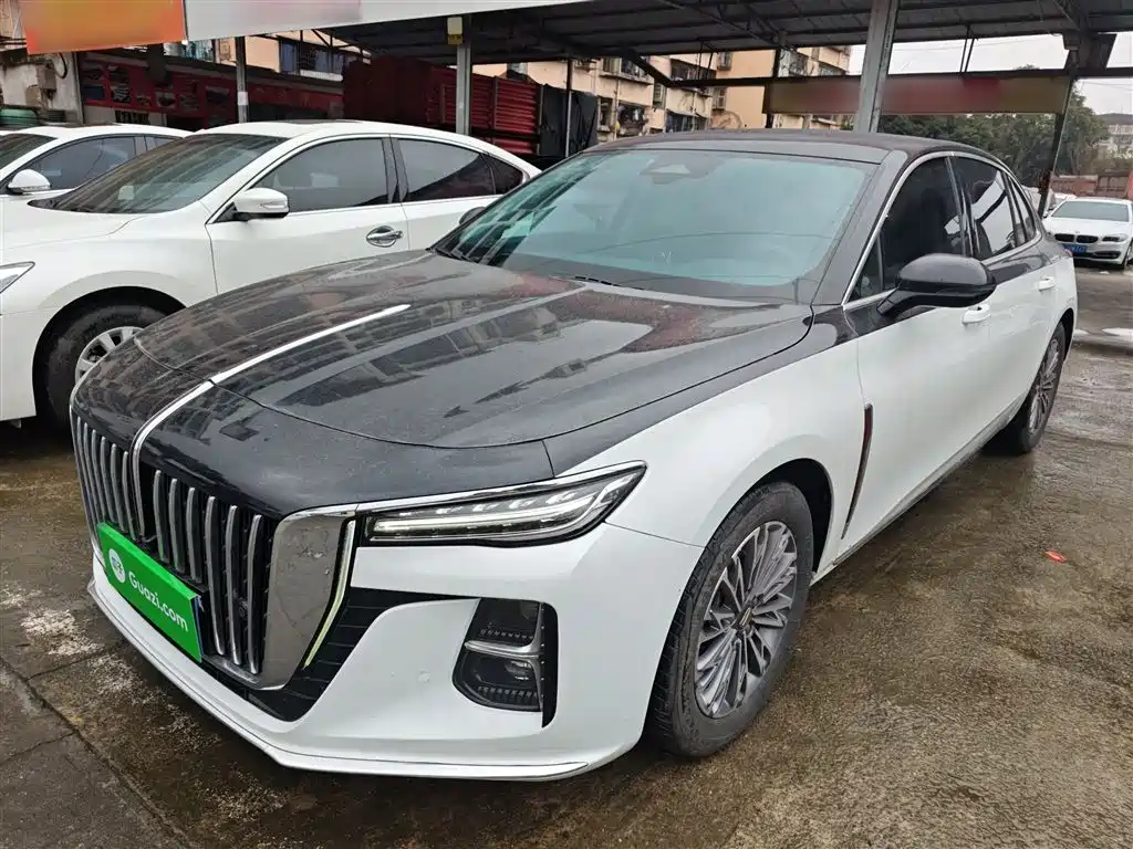 Hongqi H5 2023 2.0T Auto Smart Connect Flag Enjoy