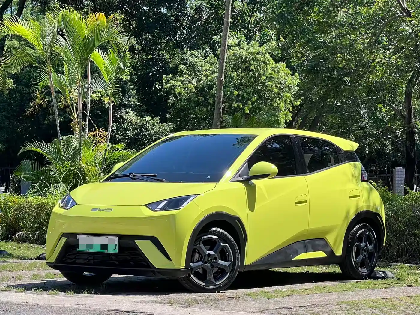 BYD Seagull 2023 Freedom Edition