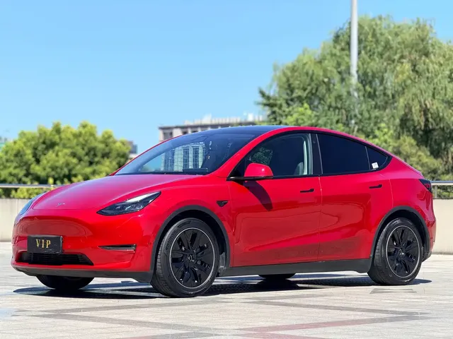 Tesla Model Y 2021 Standard Range Rear-Wheel Drive
